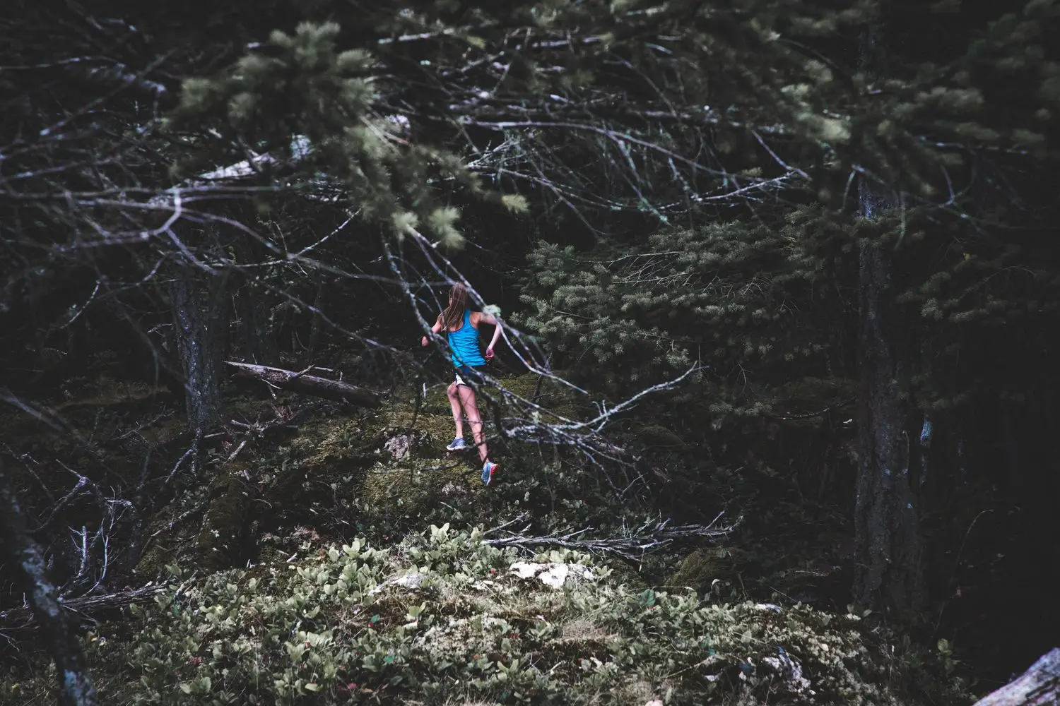 Orienteer moving through a wooded course
