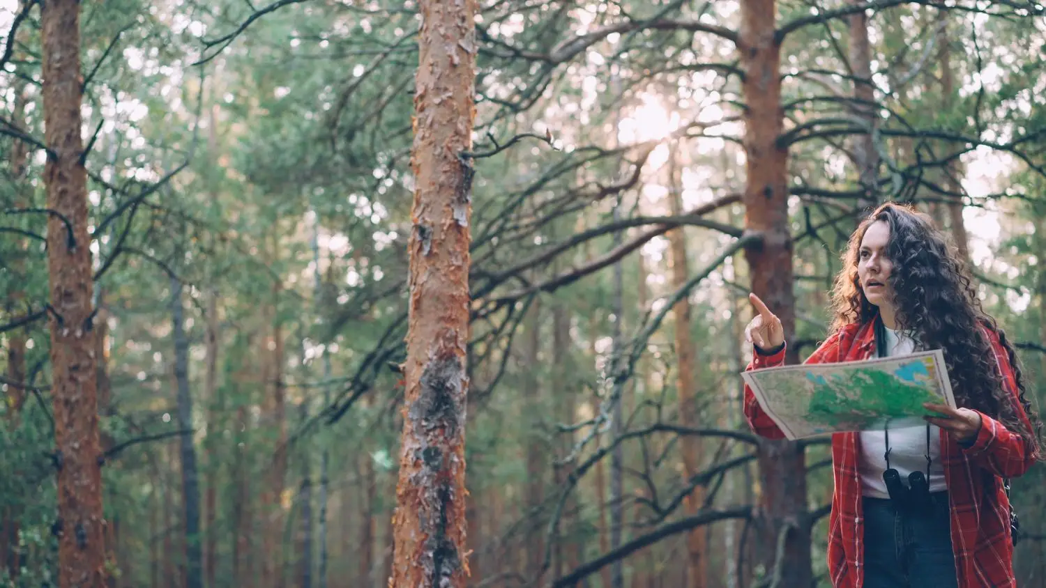 Participant checking a map among trees