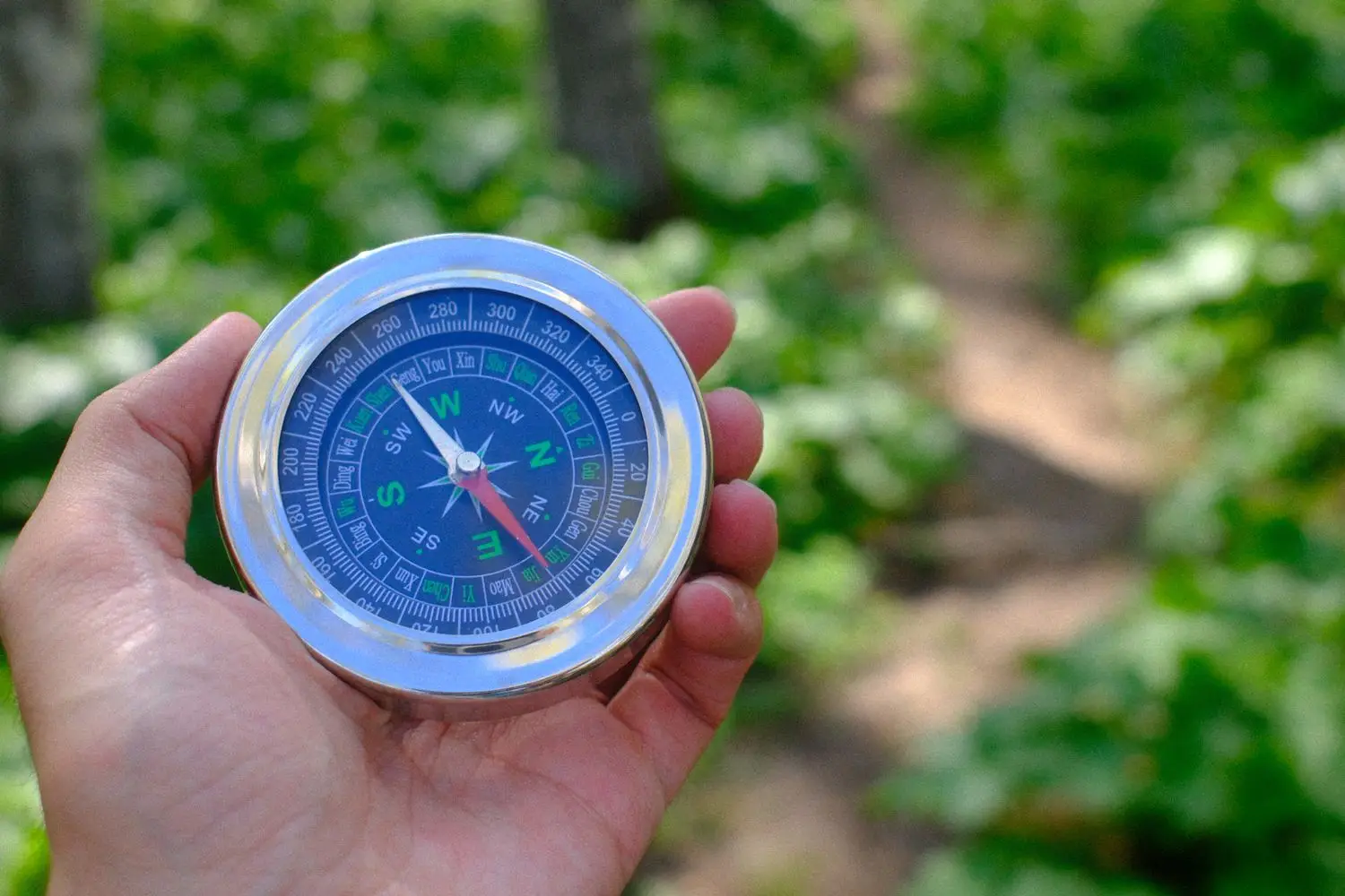 Compass held against a green woodland background