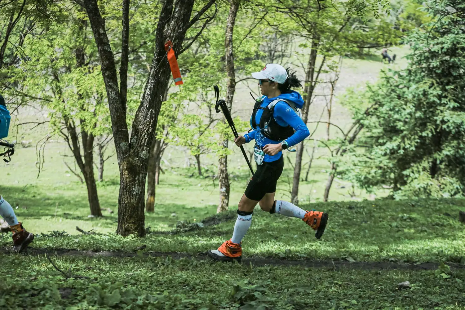 Runner moving across wooded terrain